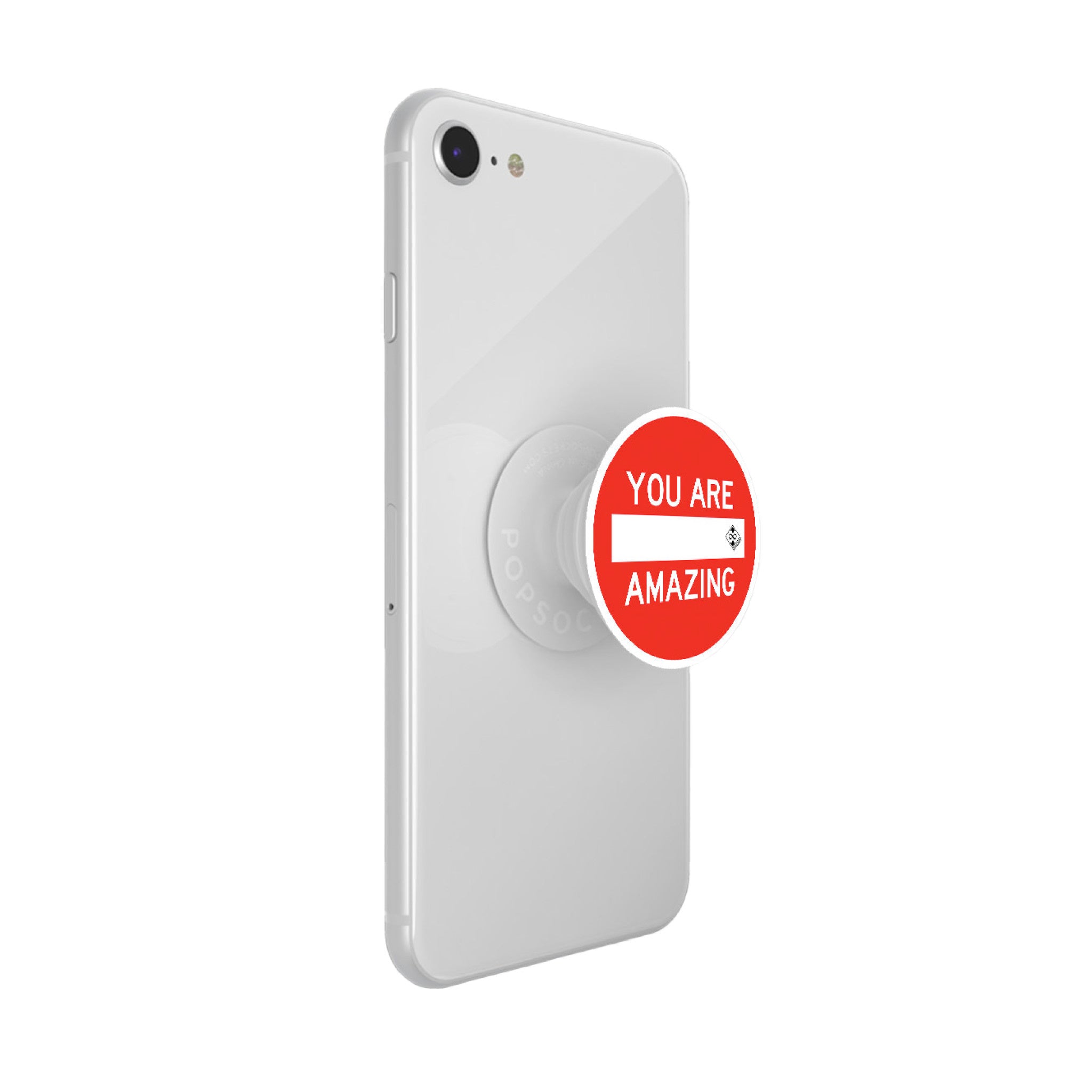 Scott Froschauer AMAZING PopSocket - Wynwood Walls Shop