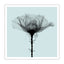 SHOK-1 Thorns Duck Egg Blue Special Print - Wynwood Walls Shop